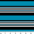 ruler cm
