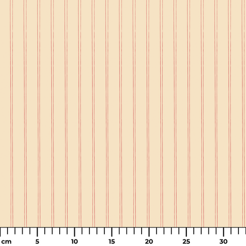 ruler cm