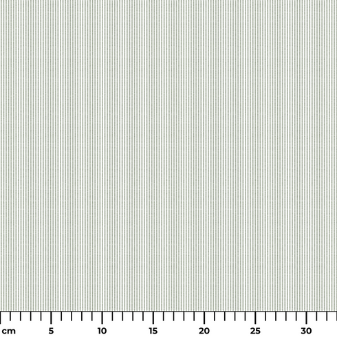 ruler cm