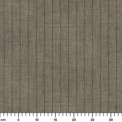 ruler cm