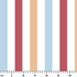 ruler cm