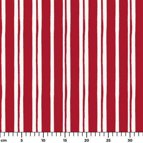 ruler cm