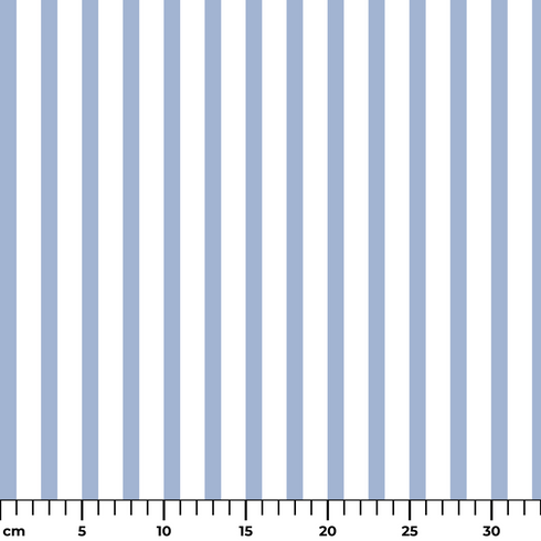 ruler cm