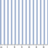 ruler cm