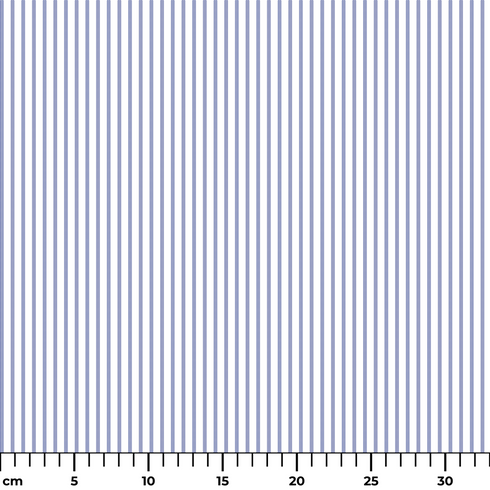 ruler cm