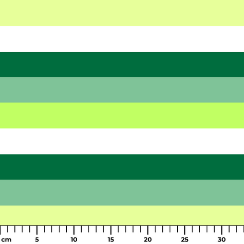 ruler cm