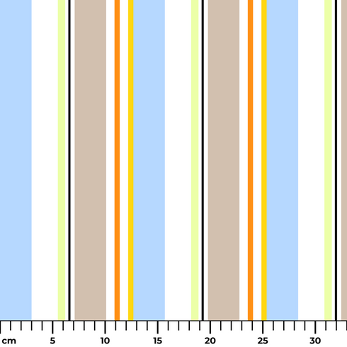 ruler cm