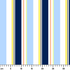 ruler cm
