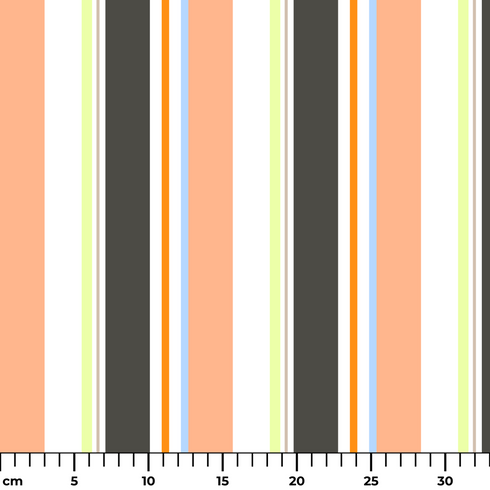 ruler cm