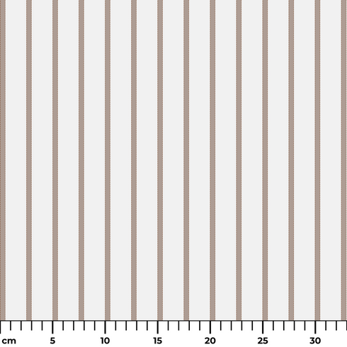 ruler cm