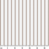 ruler cm