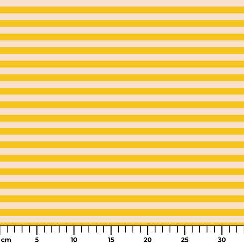 ruler cm