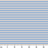 ruler cm