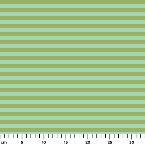 ruler cm