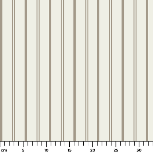 ruler cm