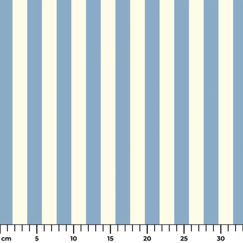 ruler cm