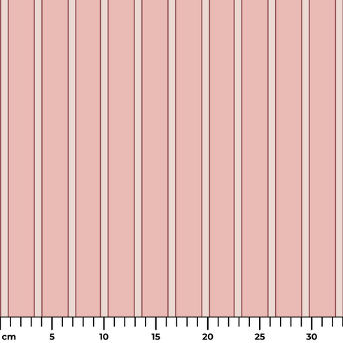 ruler cm