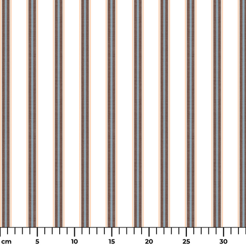 ruler cm