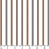 ruler cm