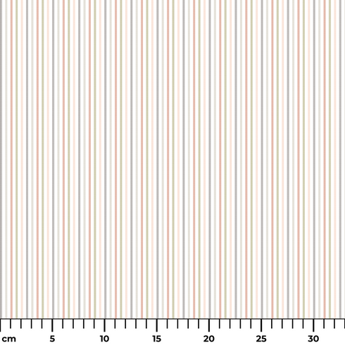 ruler cm