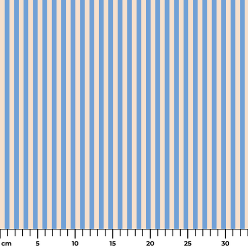 ruler cm