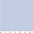ruler cm