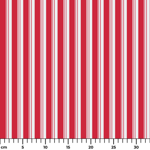ruler cm