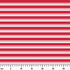 ruler cm