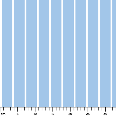 ruler cm