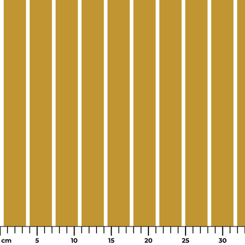 ruler cm