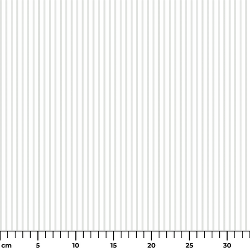 ruler cm