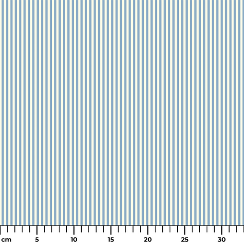 ruler cm