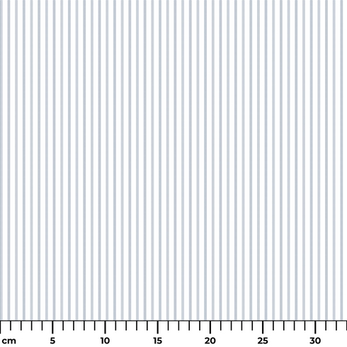 ruler cm
