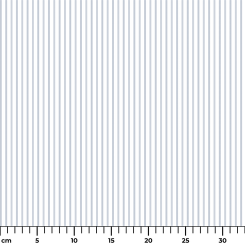 ruler cm