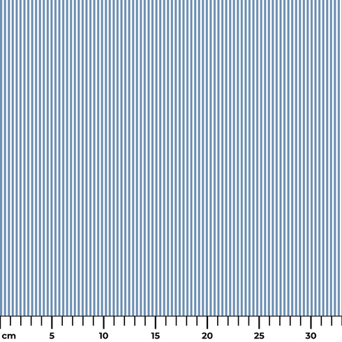 ruler cm