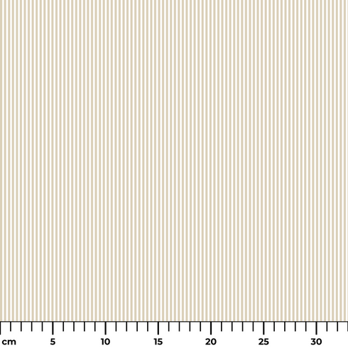 ruler cm