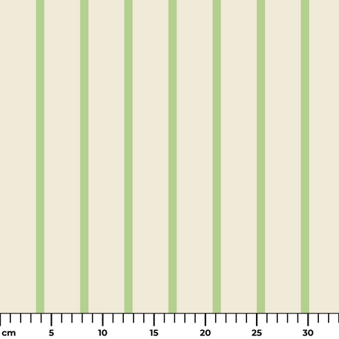 ruler cm