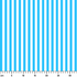 ruler cm