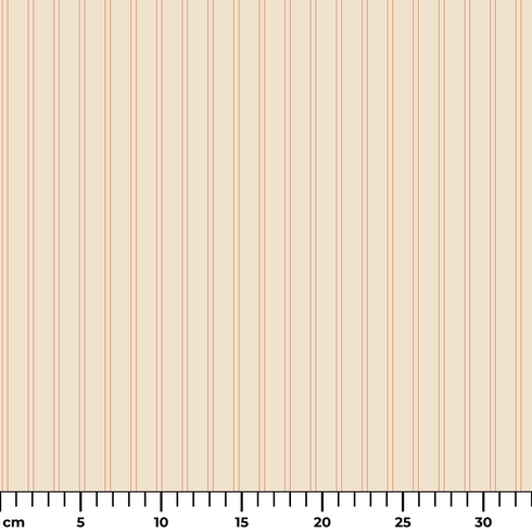 ruler cm