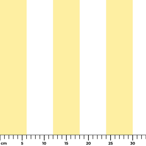 ruler cm