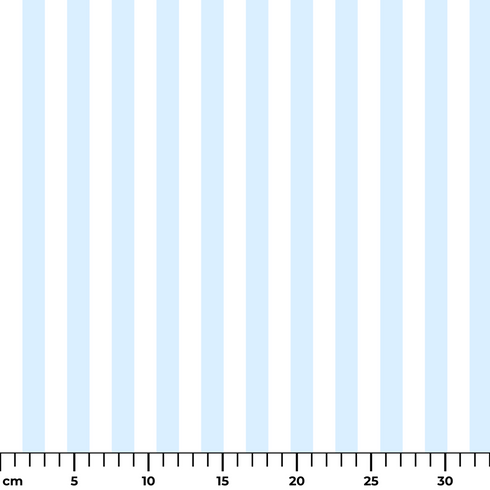 ruler cm