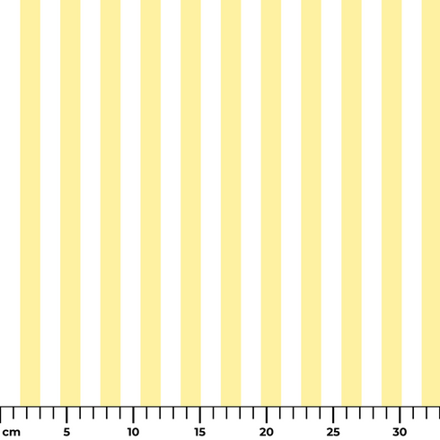 ruler cm