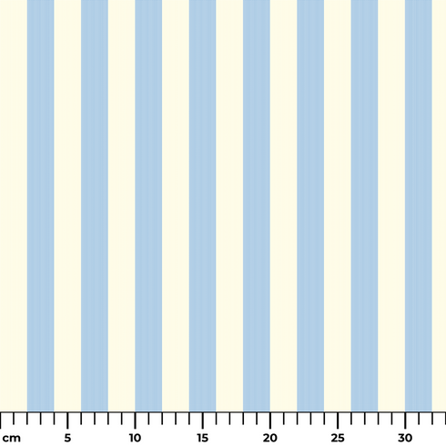 ruler cm