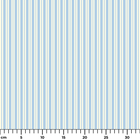 ruler cm