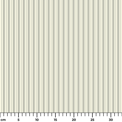 ruler cm
