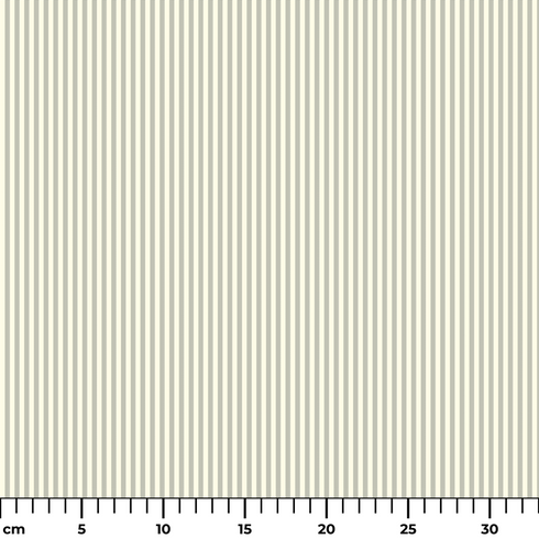 ruler cm