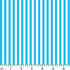 ruler cm