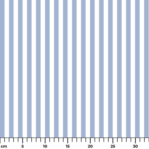 ruler cm