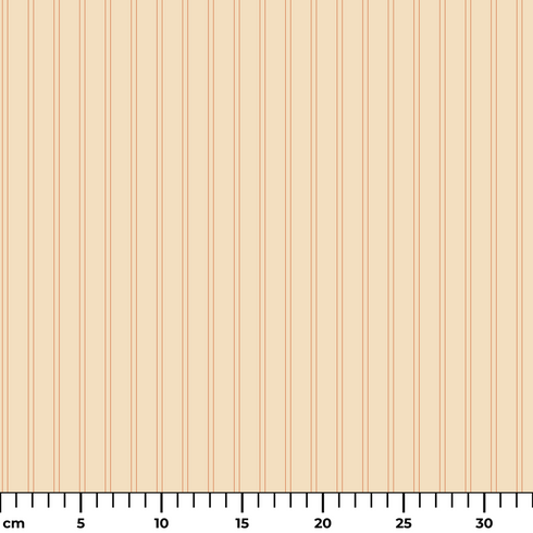 ruler cm
