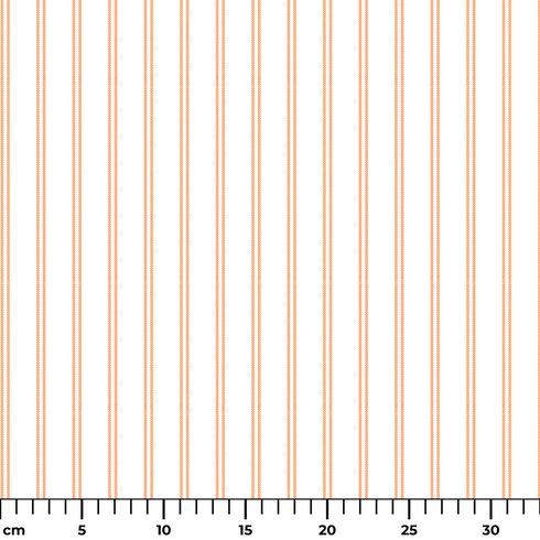 ruler cm